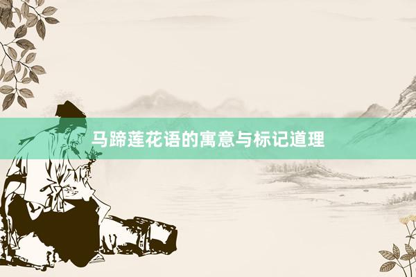 马蹄莲花语的寓意与标记道理
